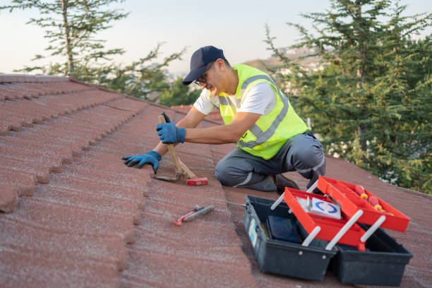 Best Sealant for Roof  in Benton Heights, MI